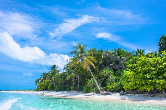 tropical beach